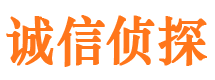 蒙山侦探公司